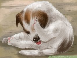 Ну вы поняли