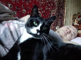 Мне коты особо спать не дают, когда я после суток домой прихожу. Скучают без меня.