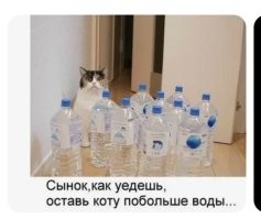 Намешалось