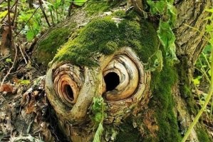 «Довольно интересно»: 40 фото нашего чудесного и  странного мира