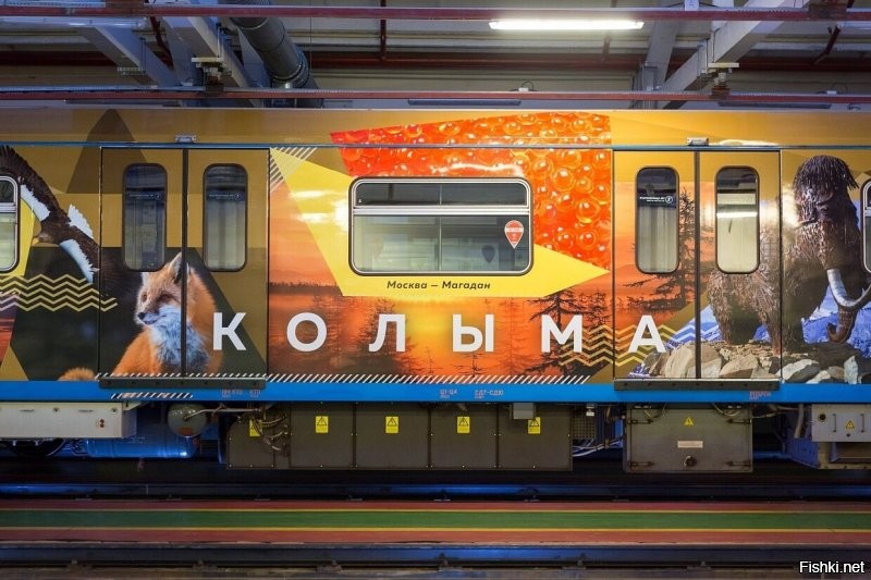 Солянка от 12.10.2024