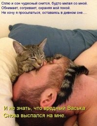 "Наташа, ты спишь?": что заставляет котов внимательно рассматривать спящих хозяев