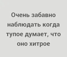 Политический мониторинг (476)