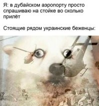 Хуторские боги ощутили себя падалью