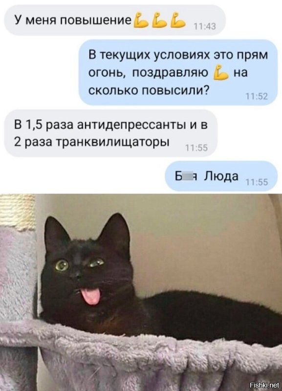 Солянка от 13.10.2024