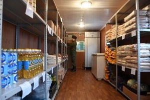 Мышей и крыс на продскладах ловить будут