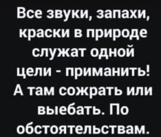 Секреты успешной охоты: 13 хитрых приёмов от хищников