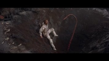 Секреты успешной охоты: 13 хитрых приёмов от хищников
