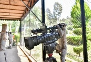 35 интересных фото, которые скрасят ваш день