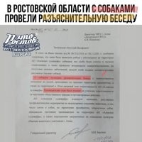 Восторг, но у нас в России с властями тоже не скучно))) Извините, фото документа лучше качеством не нашел ;)