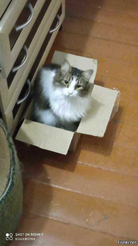 Мы всё на аптека.ру заказываем. А какие там классные коробки.