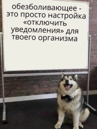 Не ищите здесь смысл. Здесь в основном маразм