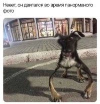 16 нелепых случаев, когда панорама не получилась