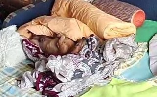 Тоже ставил камеру за собакой наблюдать после операции, так и оставил, смотрю как эта жопа дрыхнет, пока мы на работе %)