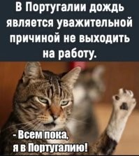 В Токио прошёл чемпионат по расслаблению