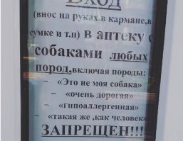 Конфликт женщины с сотрудником аптеки из-за собаки