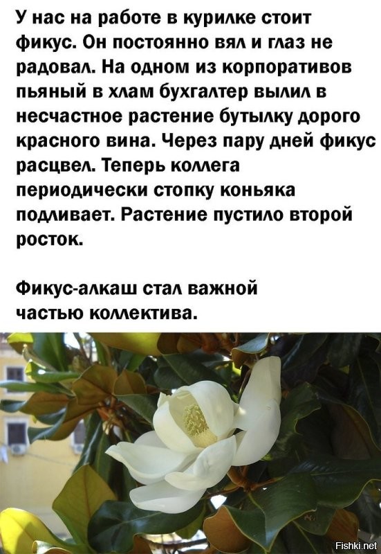 Солянка от 17.10.2024