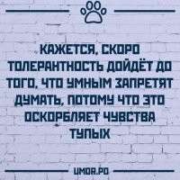 Политический мониторинг (478)