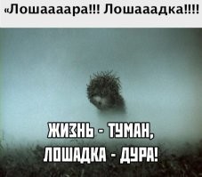 Отдельный жанр