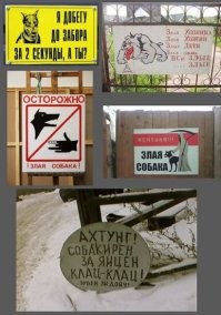 Отдельный жанр
