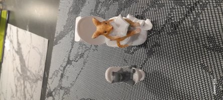 У меня такие  есть засери)))