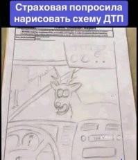 Лосиный тест пройден