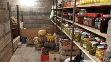 Он ещё бабушкин холодильник не видел.