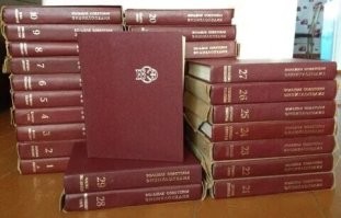 Российские мухоморы покупает весь мир, от США до Филиппин: почему иностранцы импортируют наши ядовитые грибы