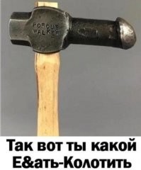 Жуткие находки в доме владельца похоронного бизнеса удивили следователей