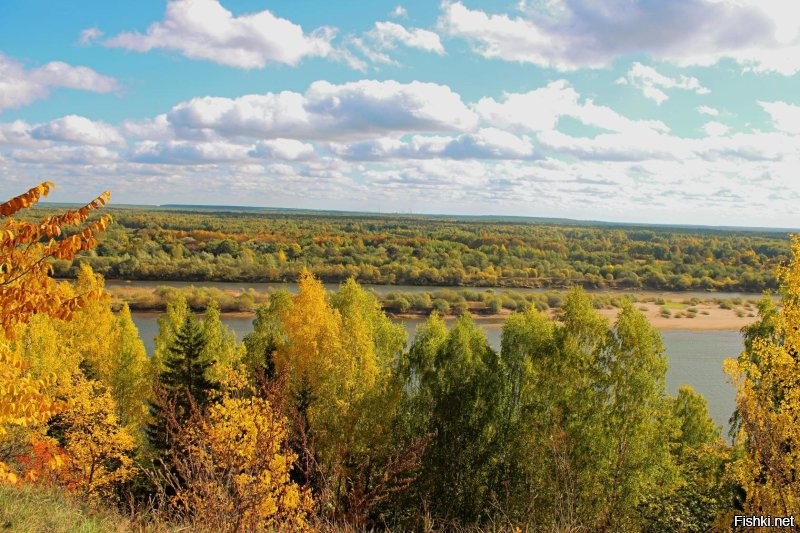 Пятничные фоточки с Вятки. Ещё вчера было очень солнечно, а сегодня туман.