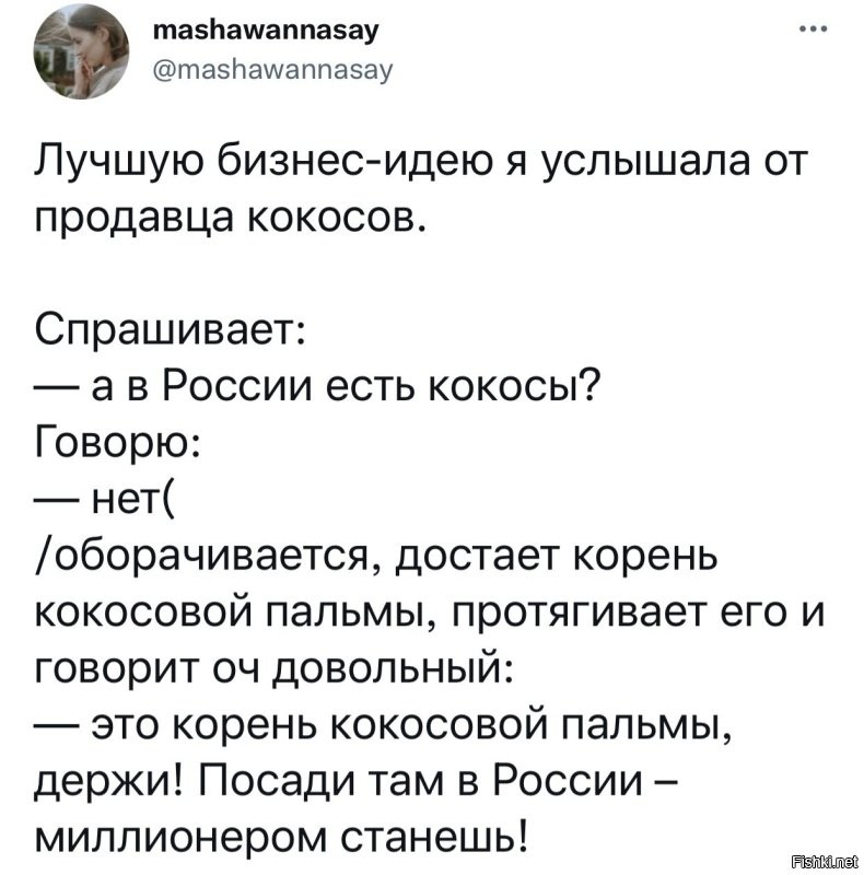 Солянка от 20.10.2024