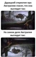 Почему ни один ураган не может пересечь экватор?