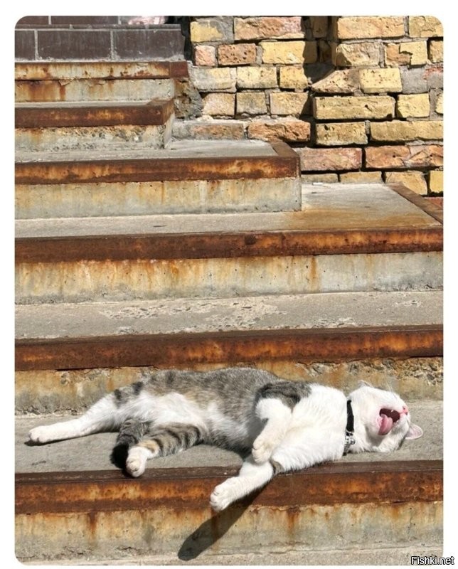 Устал суету наводить . Это перфоманс , он художник , он так видит .