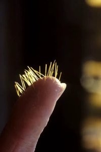 Не такое уж дебильное решение.