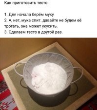 20 случаев, когда коты доказывали, что для сна не существует неудобных мест и поз