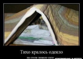 25 гениев маскировки, которые поражают своей изобретательностью