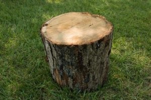 Автор, хоть бы какой-нибудь приличный толковый словарь почитай, а то я вижу выжимки из какого-то малограмотного блога.

Только один пример:
Инсинуация -это не просто клеветнический вымысел, инсинуация - это безответственный намёк, именно намёк на какое-либо обстоятельство касающееся оппонента.
При этом тонкость применения инсинуации именно в том, что если клеветника прижать, он всегда может отвертеться, мол я совсем не то имел ввиду.
Если скажем человека открыто (ложно) обвиняют в воровстве, это не инсинуация, это клевета. 
А вот если клеветник говорит: "Я-то знаю, кто мог взять эту вещь" и многозначительно смотрит на оппонента - это типичная инсинуация. В случае чего, он всегда может сказать, что не имел ввиду конкретного человека, ведь он не назвал имени. 

Глупый или бесчувственный человек - это чурбан.
А чурбак - это двусторонний древесный спил, плаха, отрез бревна, например чурбак для рубки мяса.