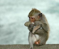 Девушка устроила массовое ДТП на парковке