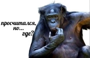 Найден самый неудачливый хакер этого года