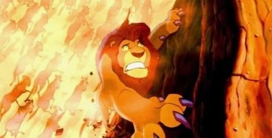 Падение кота было в стиле лучших фильмов Голливуда