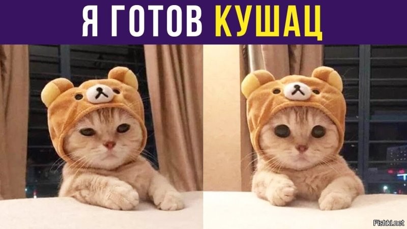 А до обеда ещё не скоро