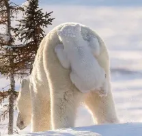 &nbsp;Намешалось&nbsp;