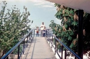 Это пансионат "Донбасс" в Ялте. (Чуть левее и вперёд метров 50 был ТИР, дальше по этой дорожке - продуктовый магазин, под ним - магазин курортных товаров, а вот сразу за каштаном - пивная точка "на разлив". 1980-ые).