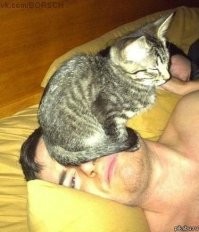 С кошкой засыпается лучше