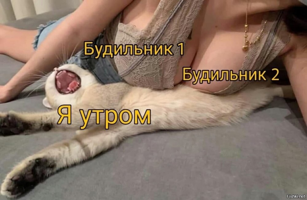 Солянка от 22.10.2024