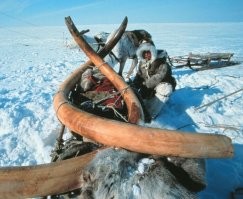 Ты-то, конечно, нормальный. Но, иногда, как скажешь - так хоть доктора вызывай.

А чем питались на "вечной мерзлоте" миллионы мамонтов и прочих яков и лошадей, которых находят замерзшими тушами??? Наверное ледышками?