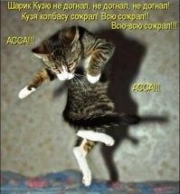Небольшая накладка двух программ: почему кота заносит боком