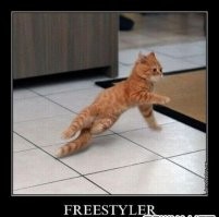 Небольшая накладка двух программ: почему кота заносит боком