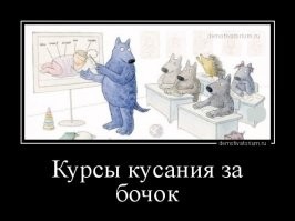 Любитель кусать за бочок