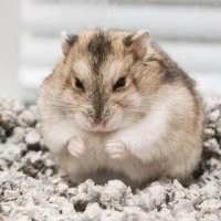 Как выглядит в реальности